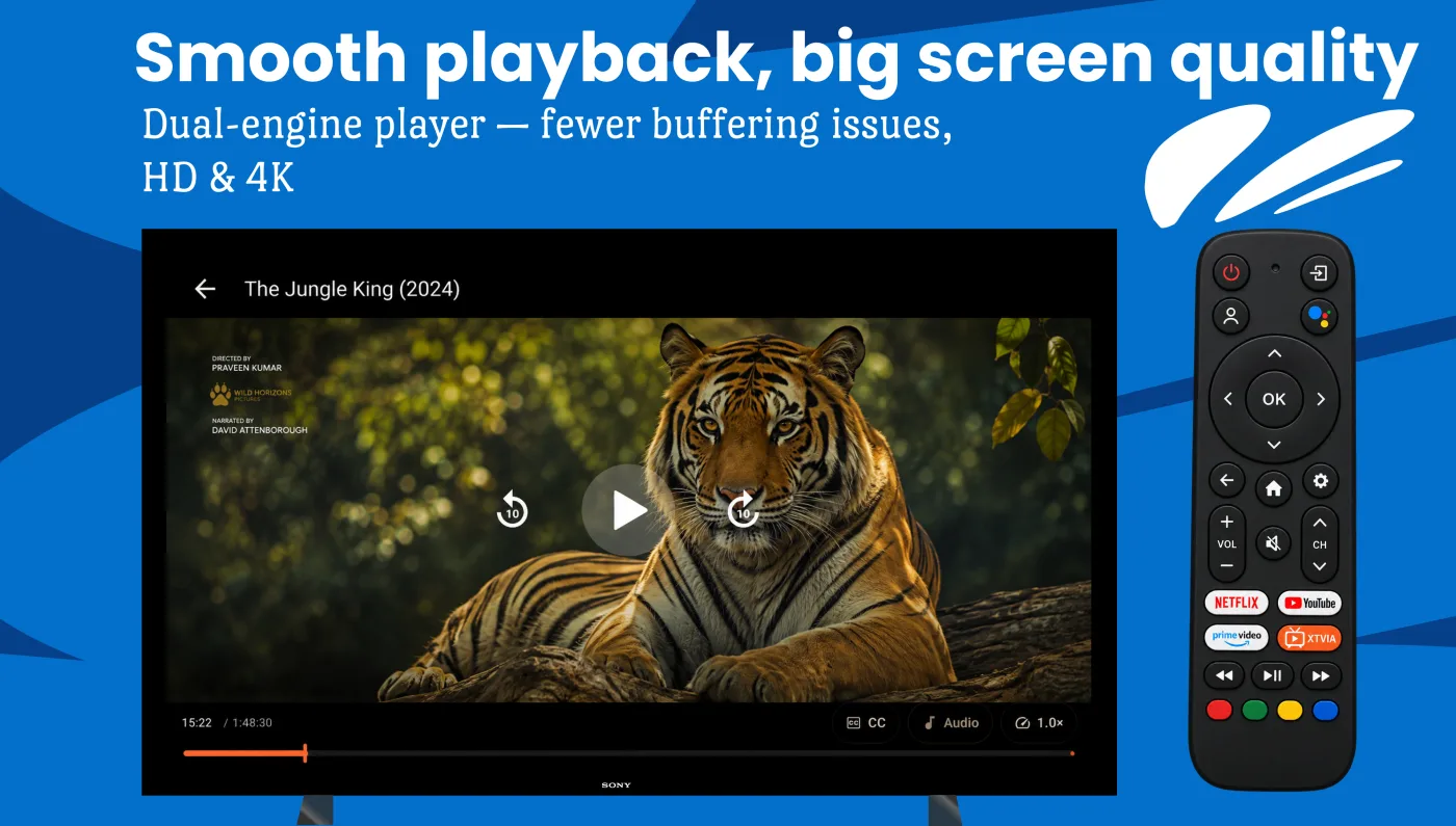 TV — full-screen video playback with playback controls